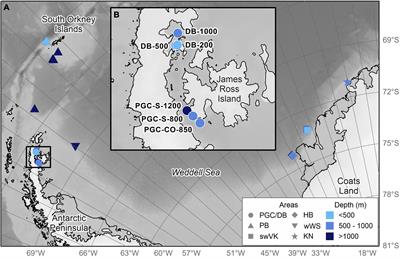 Macrobenthic Mollusca of the Prince Gustav Channel, Eastern Antarctic Peninsula: An Area Undergoing Colonisation